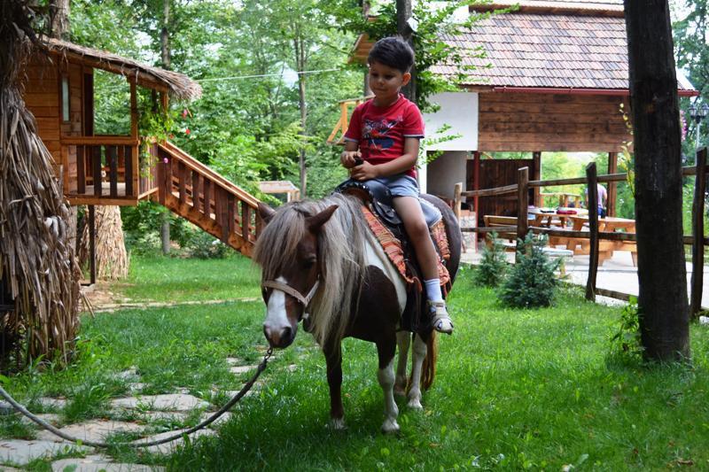 Pensiunea Stejarul Mierea Bagian luar foto